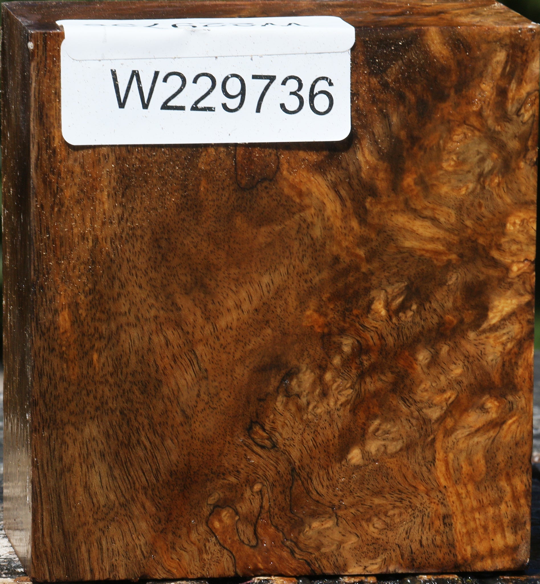 229736_1_46d91fa8-16b3-435a-ae1d-2d7442cdcaef 15080053899635