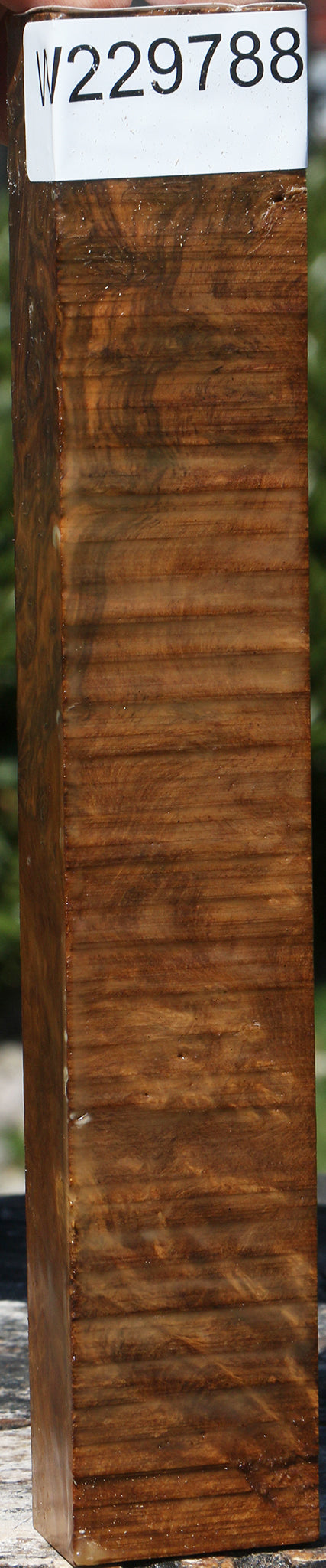 229788_1_111e7c22-ee7b-4ca8-ae7f-18b59c8d8cd7 15080057307507