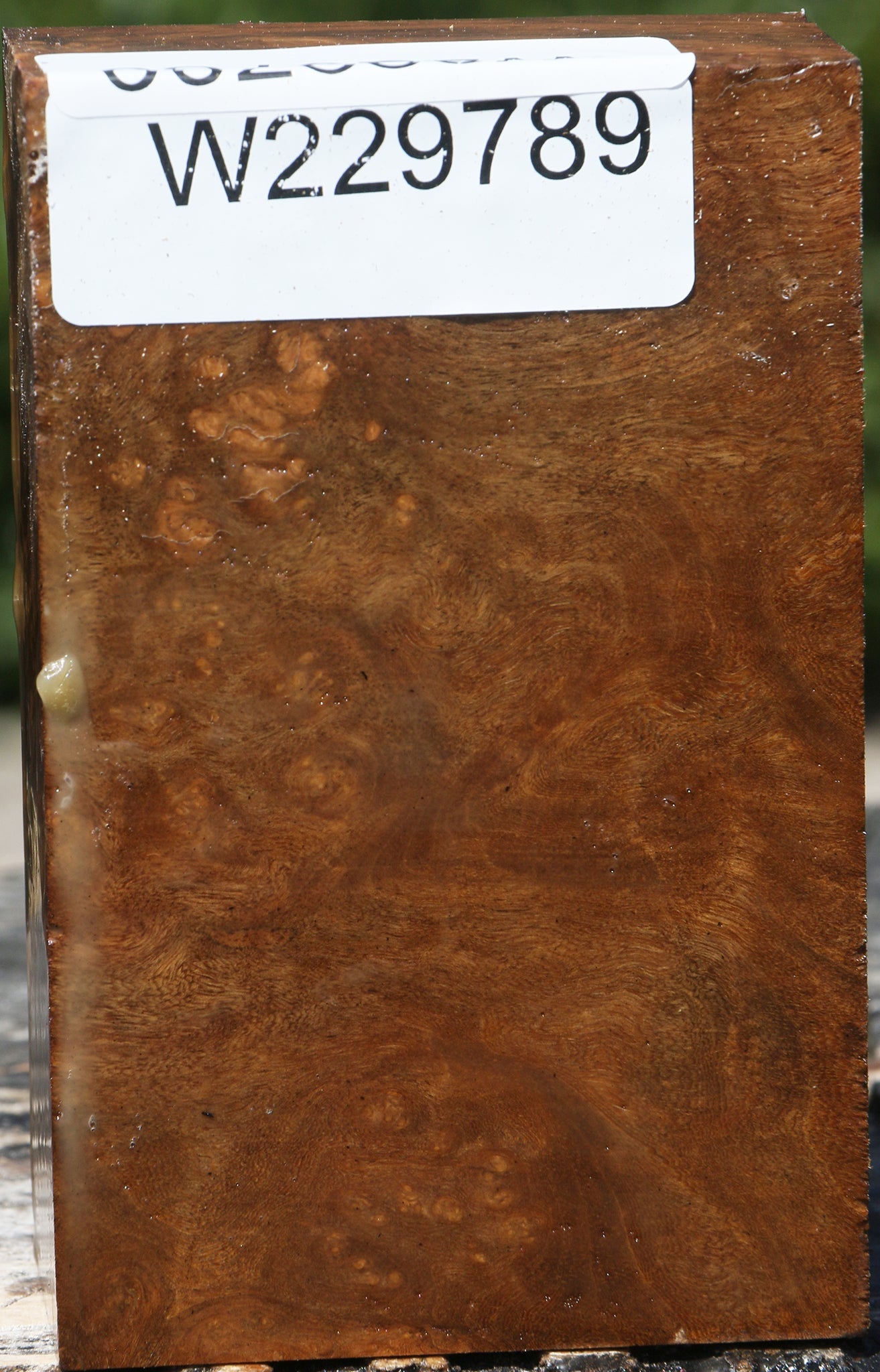 229789_1_7d5bc624-d2e5-44a7-90f0-3fb504f8bd10 15080057373043