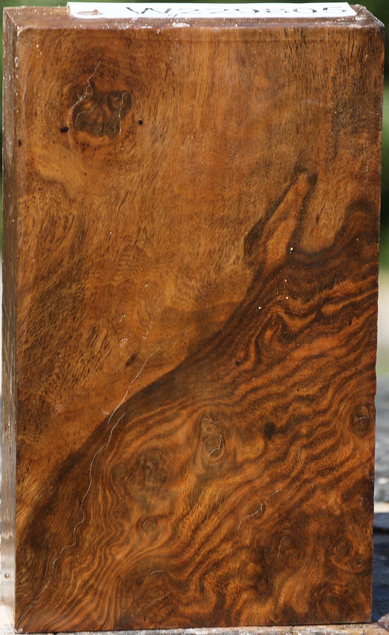 229805_1_06a450e7-5901-4cf6-8424-8f9d3f5c4f4c 15080058716531