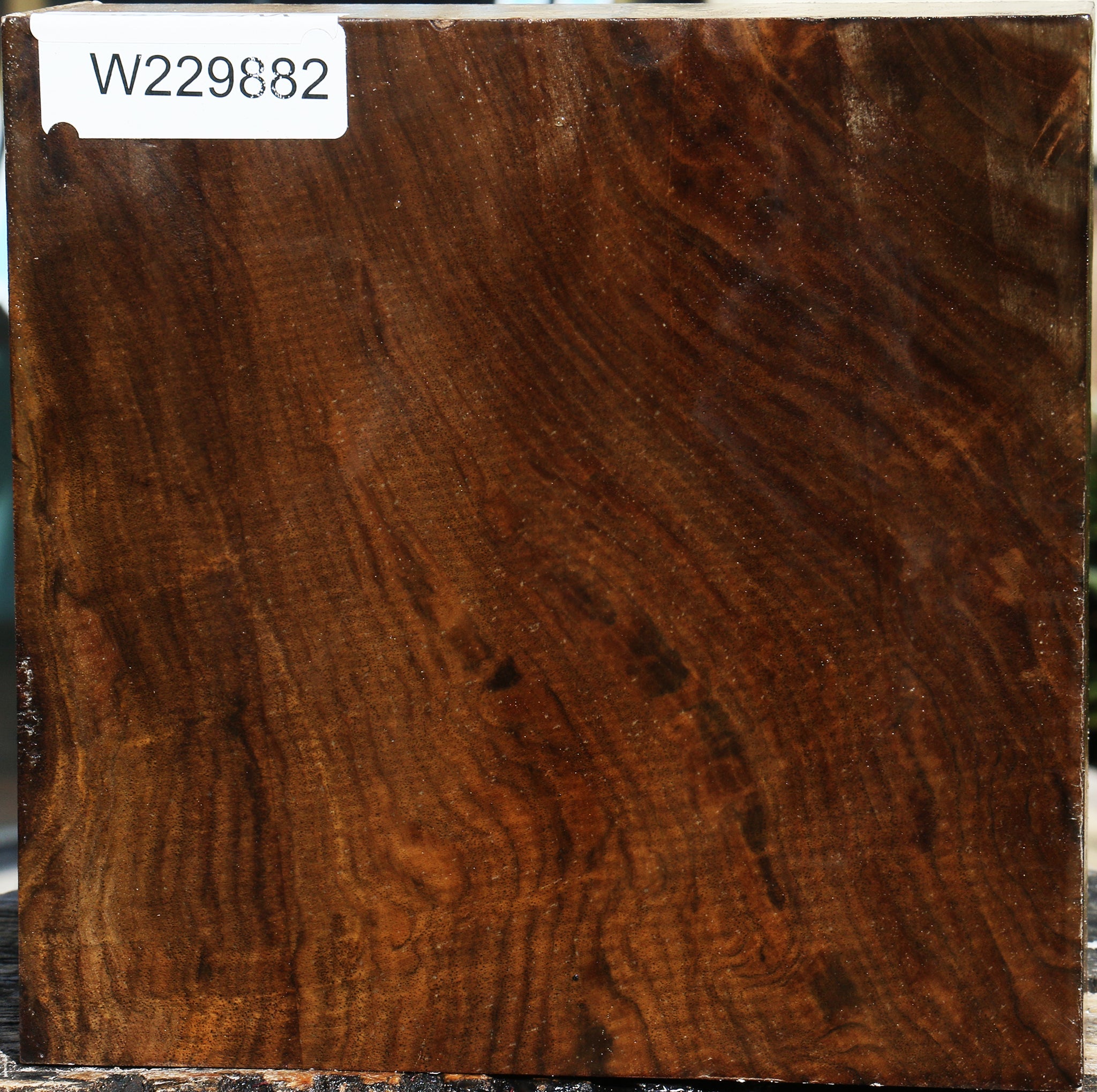 229882_1_65b79c58-d935-43bd-a5d9-449238d4ddda 15076766384499