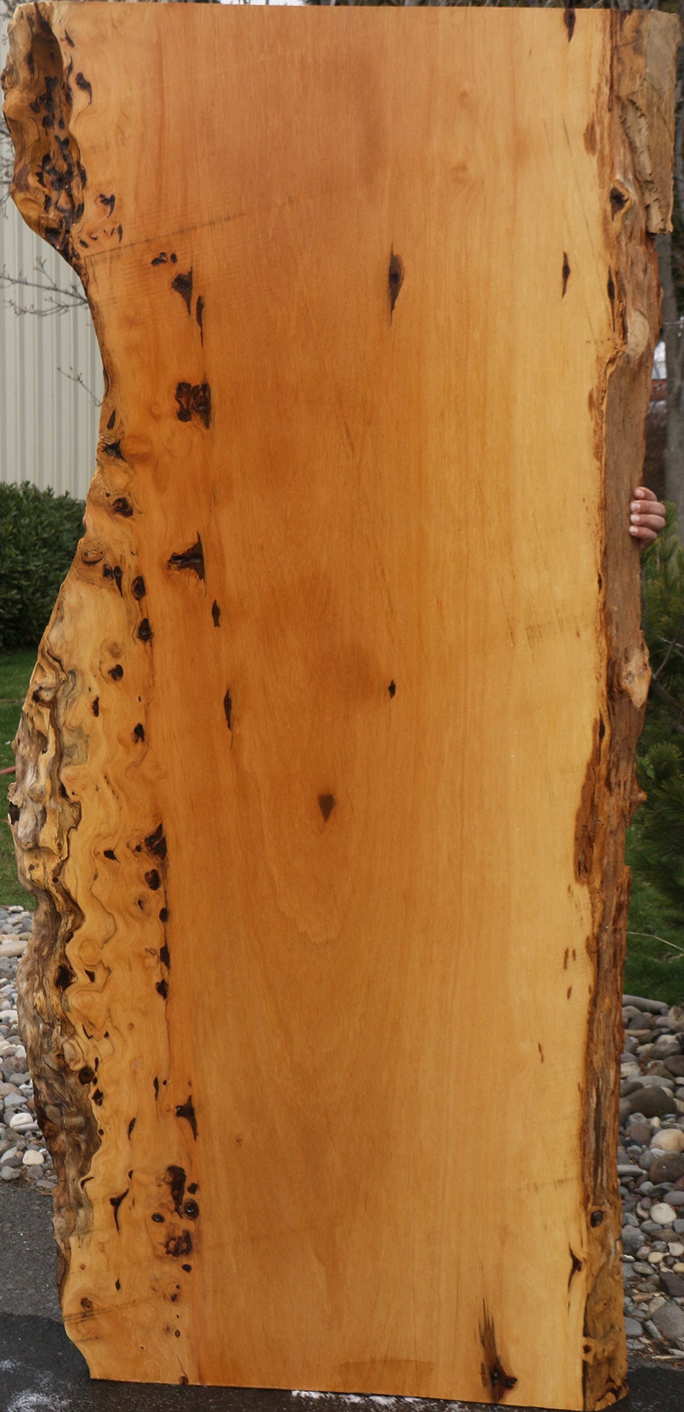 230028_1_5444eeb8-67d2-452c-9710-c4b63f63ae17 15078258999667