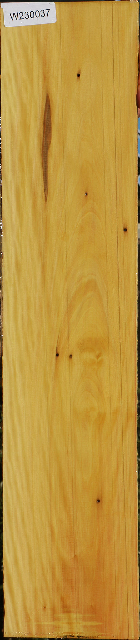 230037_1_83c333e1-dbec-4075-aad2-42629bf9f68b 15081974104435