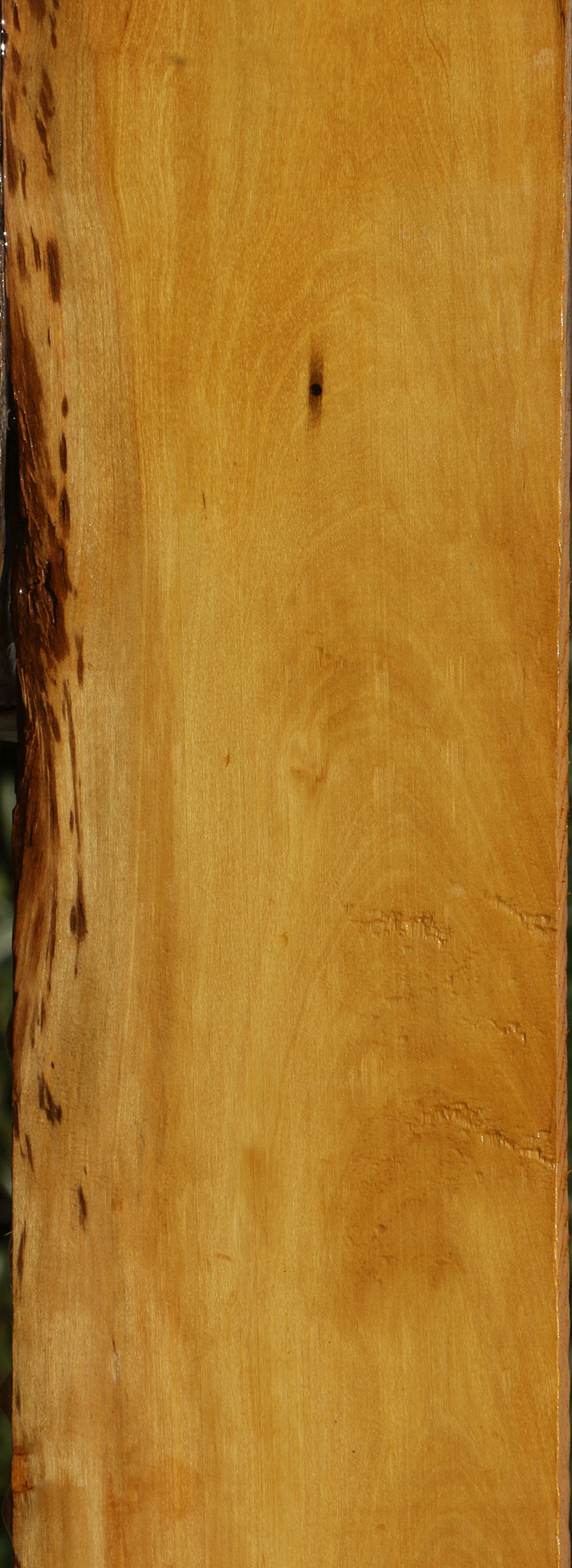 230038_1_c51b8194-e0f2-4f80-a0ae-e7c6557fab10 15081974169971