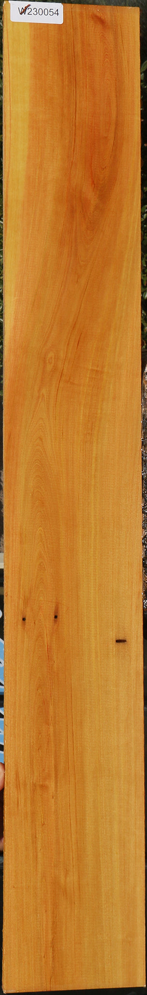 230054_1_7cedbbfc-d7cc-4d0c-a38b-3707a29b2206 15081975447923