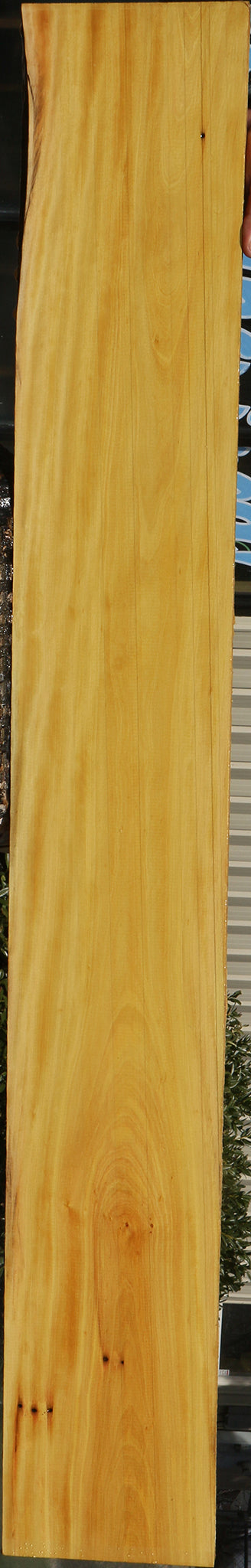 230055_1_79423be0-60e8-4821-bee6-363729fba2e5 15081975644531