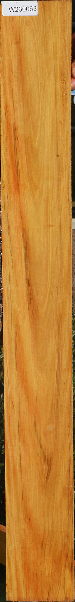 230063_1_bacedabe-0082-4d0d-8bac-183e90993ae7 15081976234355