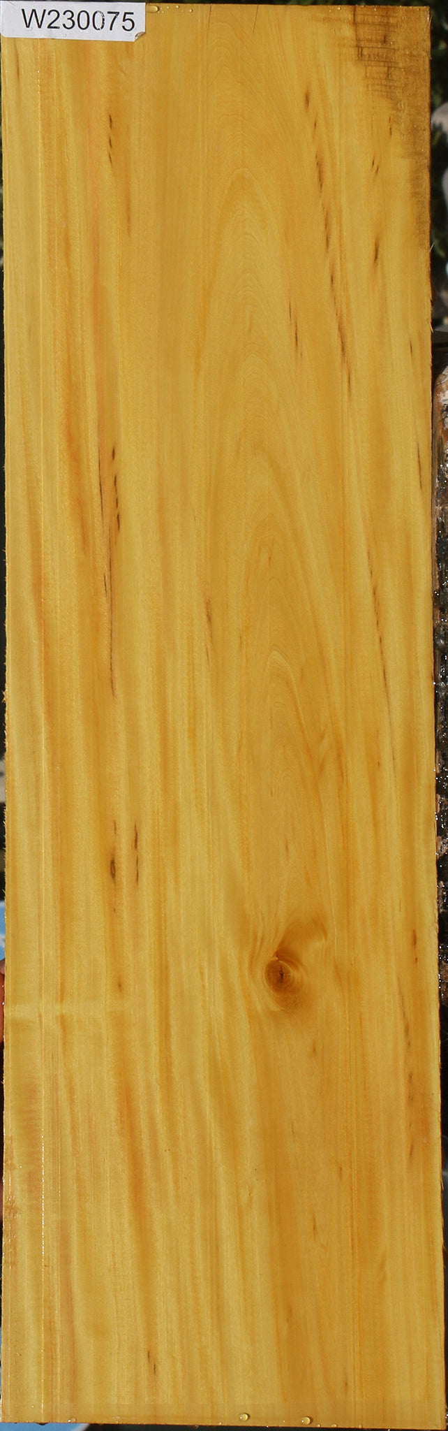 230075_1_38333e1f-468c-4fb4-bab5-3c822334b041 15081977184627