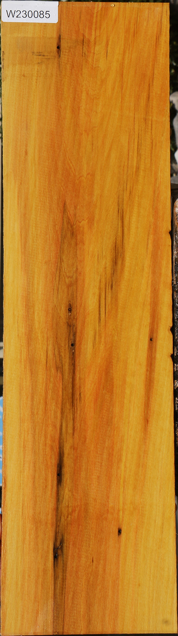 230085_1_d3acf6ae-a841-475b-9748-717242831b02 15081977872755