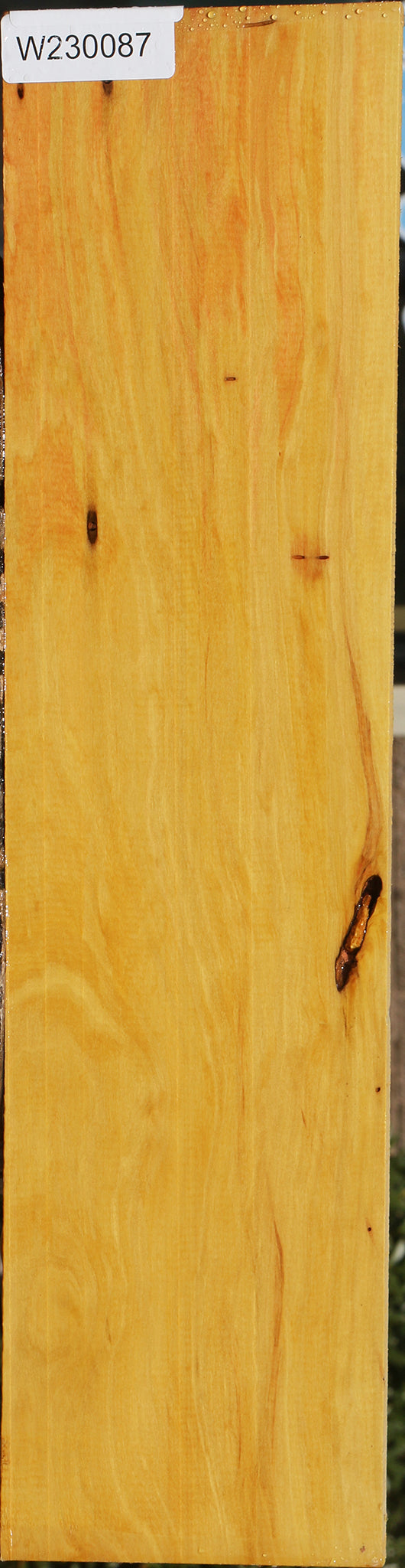 230087_1_1cd03496-9740-4762-9365-f8cb0a8f4b15 15081978036595