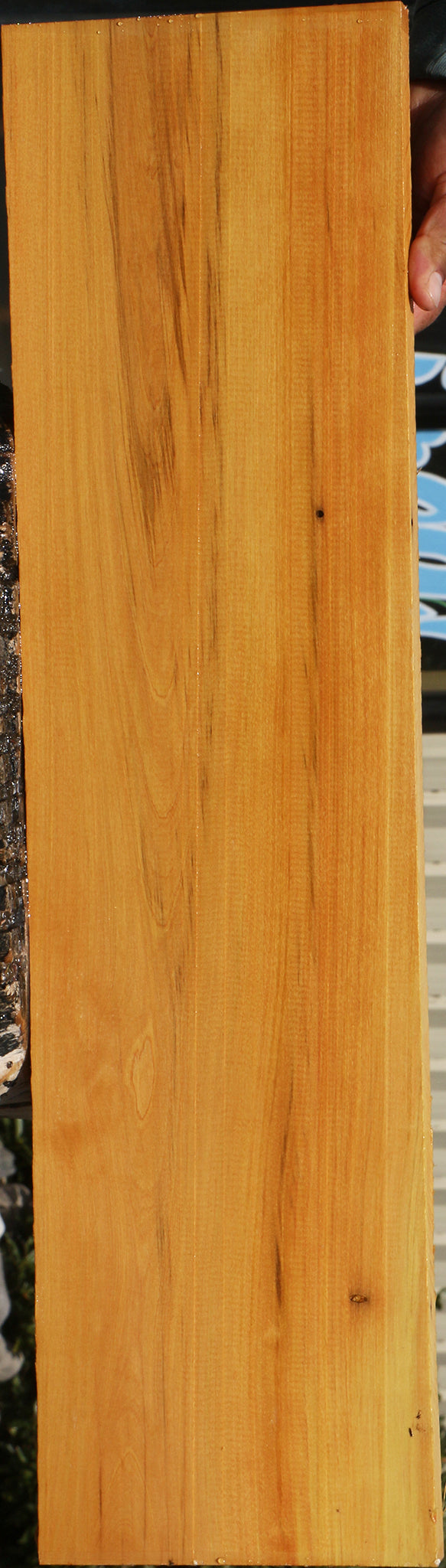 230097_1_89a87799-ff81-4e17-ac18-73832c9703ff 15081978724723