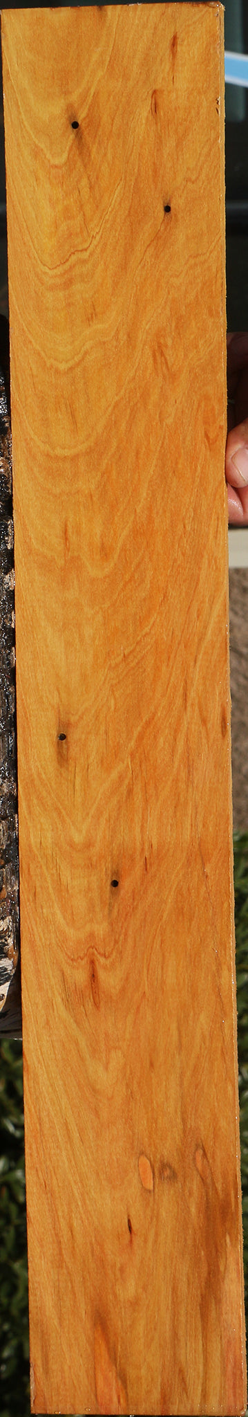 230100_1_1d6b2881-7654-4c0f-bb53-975f7eca96e2 15081978921331