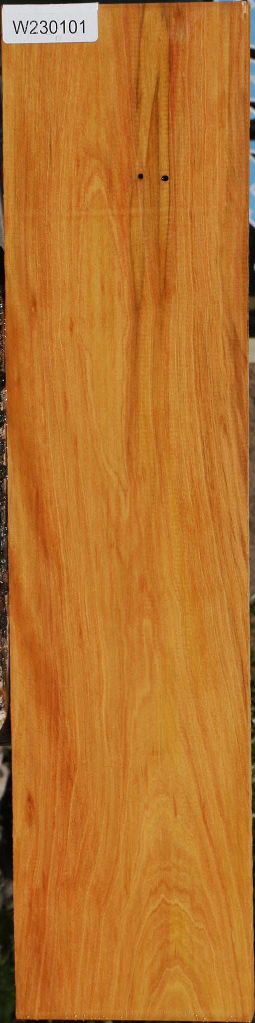 230101_1_4e61edc7-2a77-46d9-b16f-5888b7d41f96 15081978954099