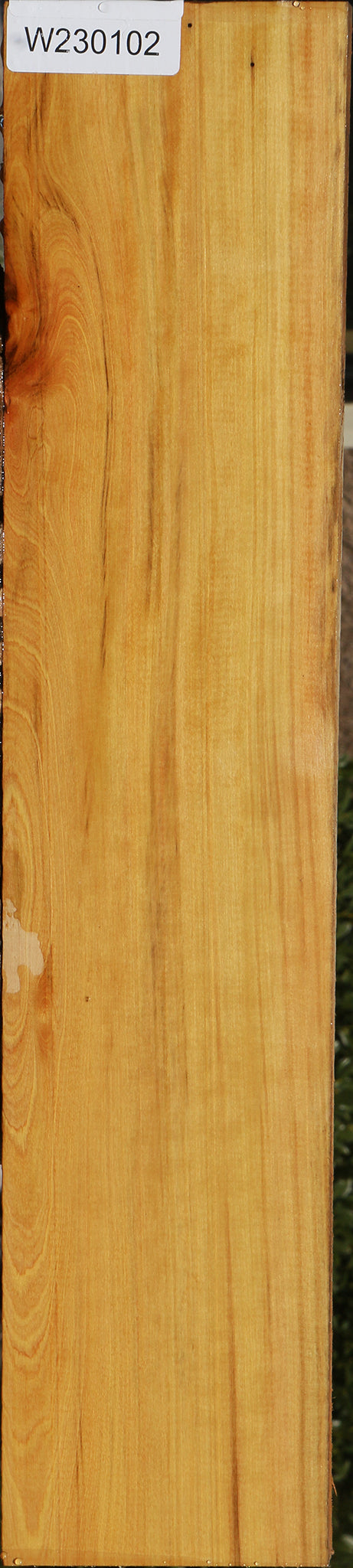 230102_1_4467edd1-ce7a-4d65-a8ec-a0a04e5d04a8 15081978986867