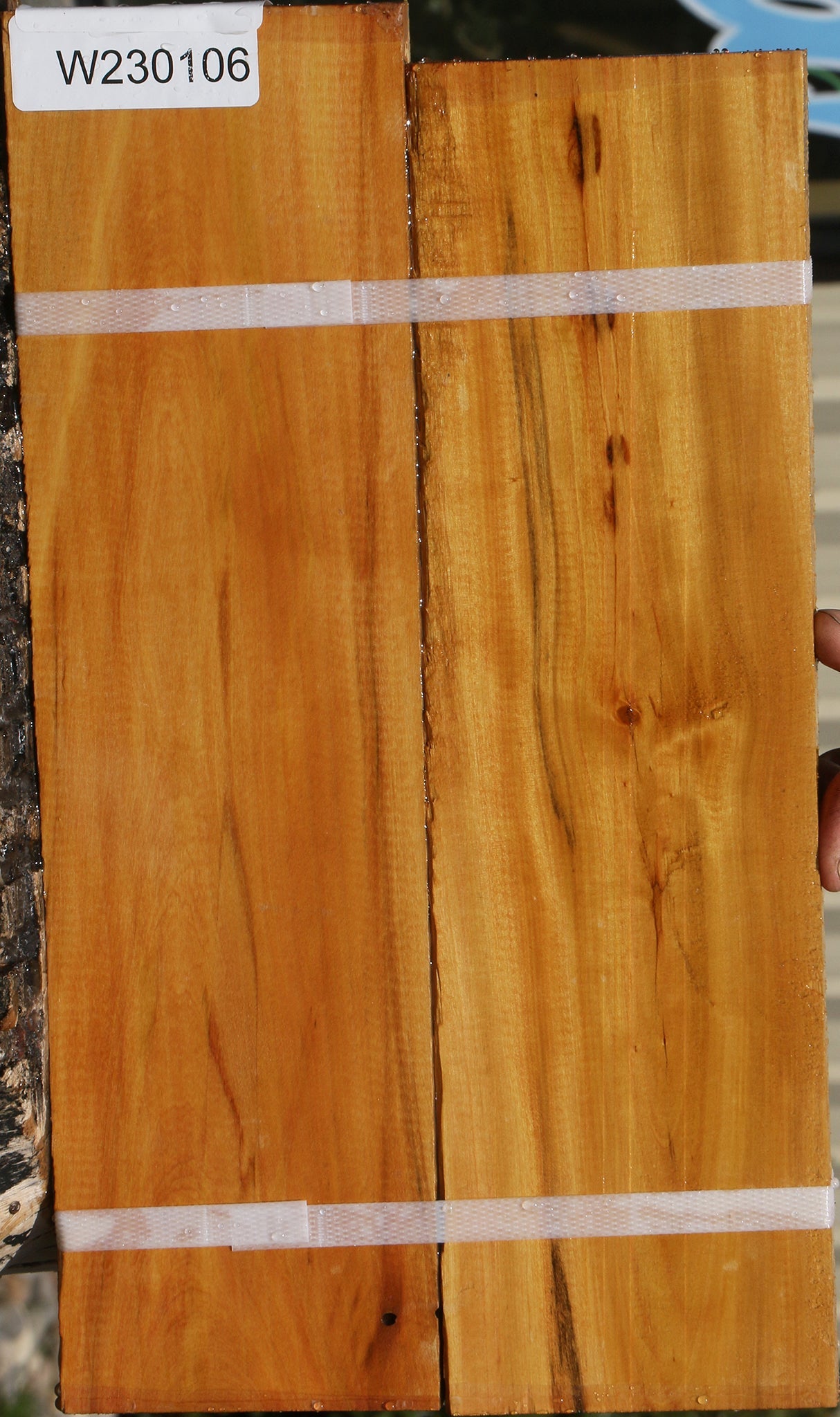 230106_1_dc48aa47-faaf-47c2-a308-a206d8b6598d 15081979281779