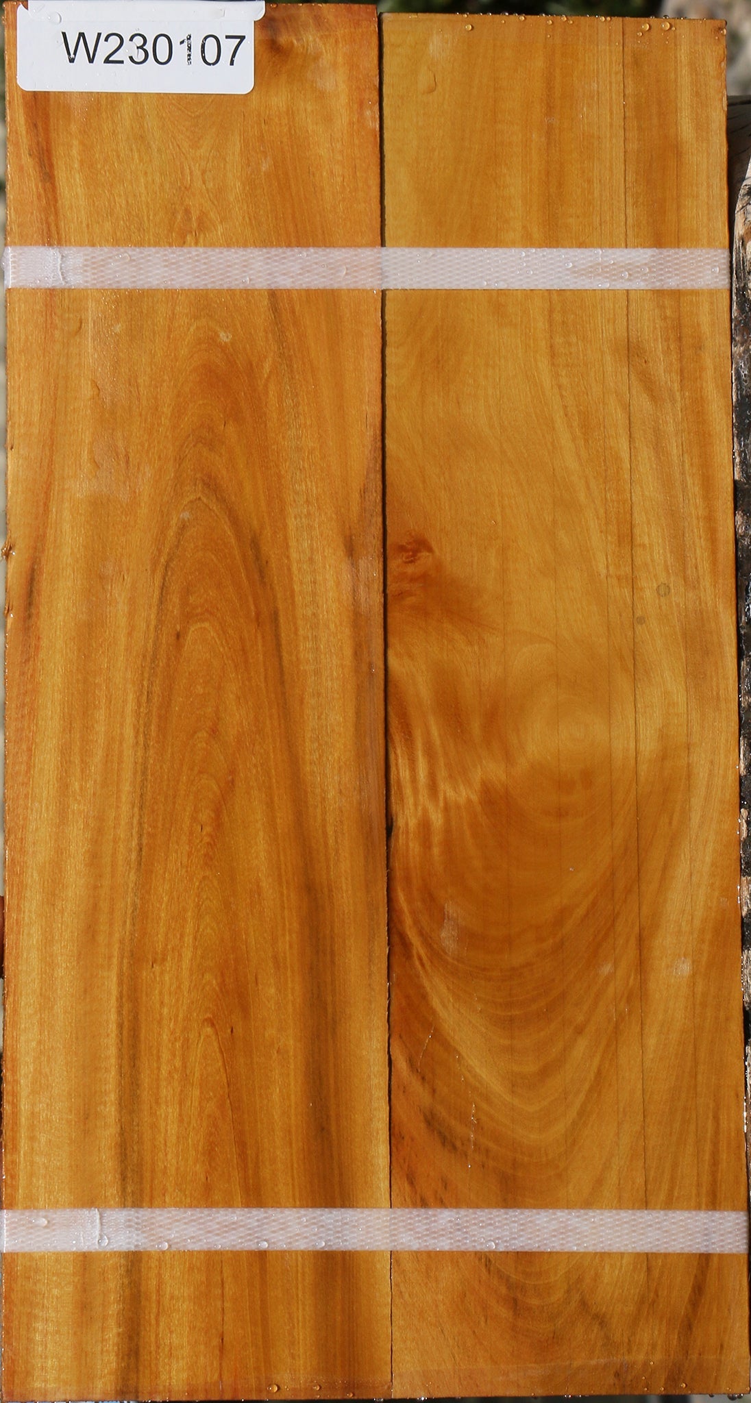 230107_1_b2df4c63-2323-41fa-a381-71d98367aaea 15081979314547