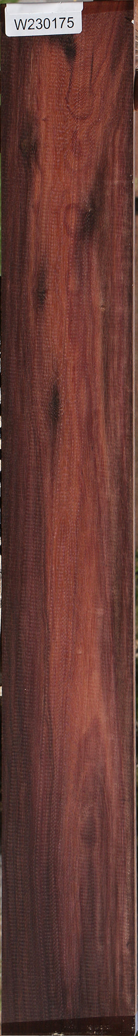 230175_1_55ab9699-140c-4590-b50e-0ccf32245d64 15085942079859