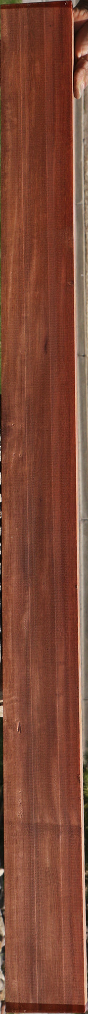 230191_1_619441f4-b091-4cdc-94eb-1a82cca52cca 15085943357811