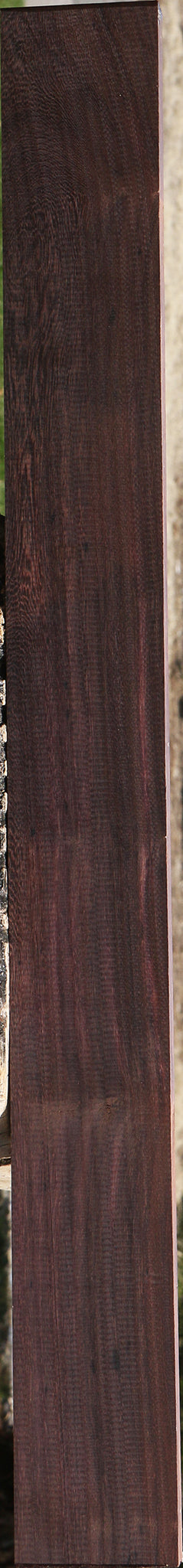 230203_1_64288bc5-8c61-48a5-986b-35d73a59bb4d 15085944471923