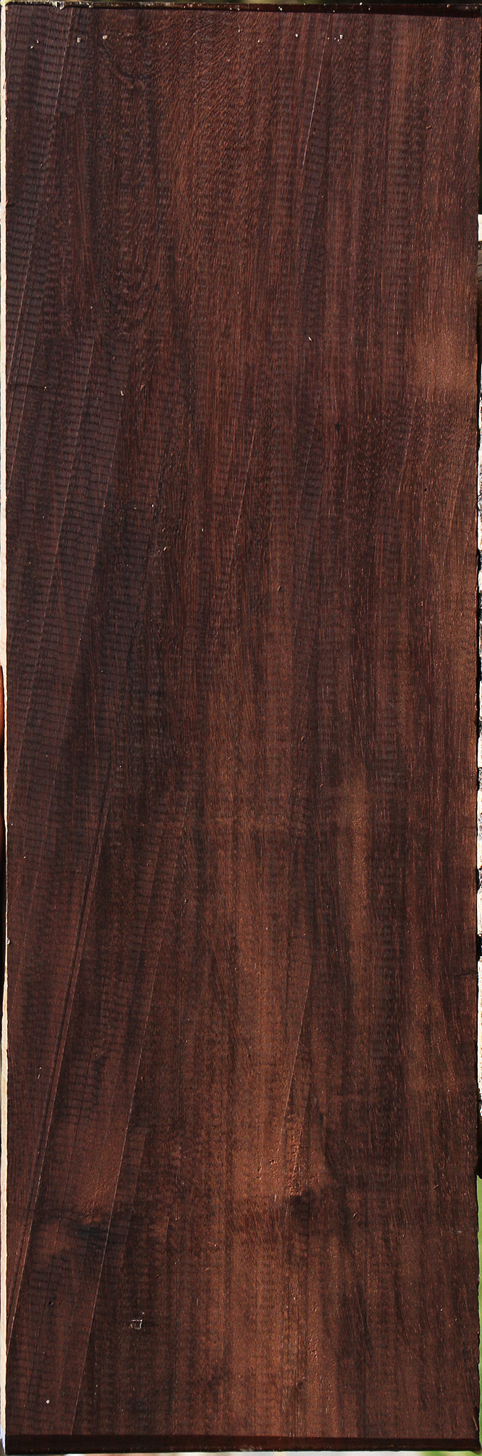 230213_1_d268d3c1-70c3-4754-a752-45a6eb663b21 15085945291123