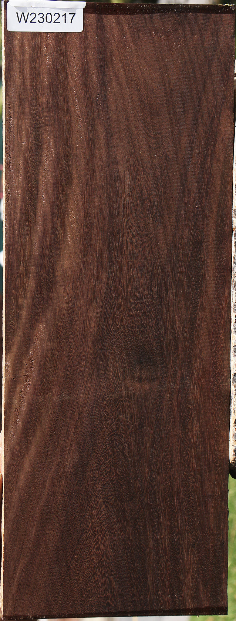 230217_1_7aef85e6-d191-4e4e-bddc-b1e0831b9636 15085945651571