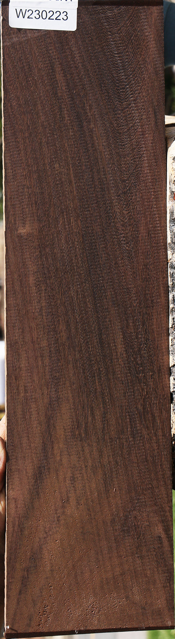 230223_1_710c681d-98d6-482a-9fe5-c2d48f141097 15085946208627