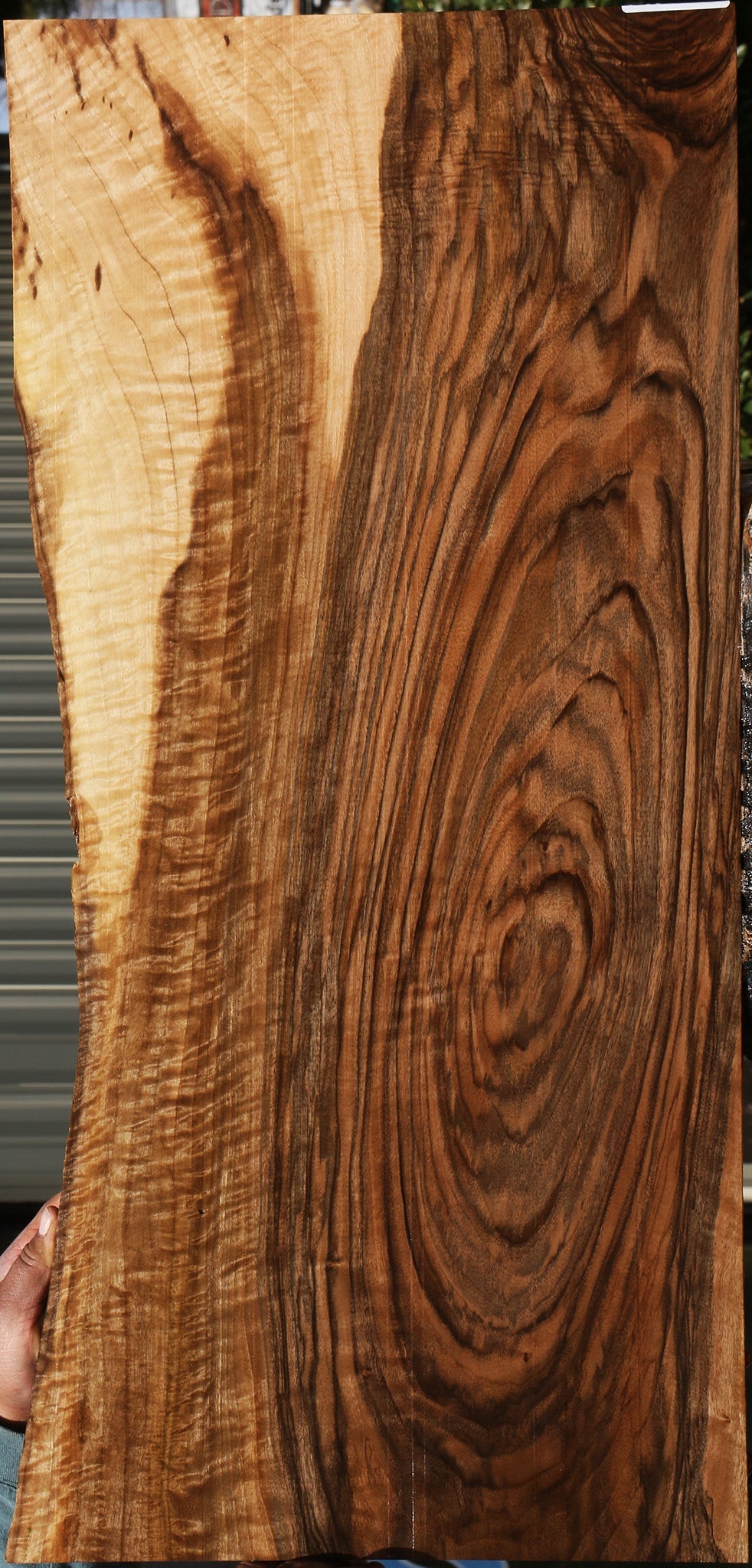 230227_1_800beb00-e187-4669-84b6-34535aff298c 15083006067059