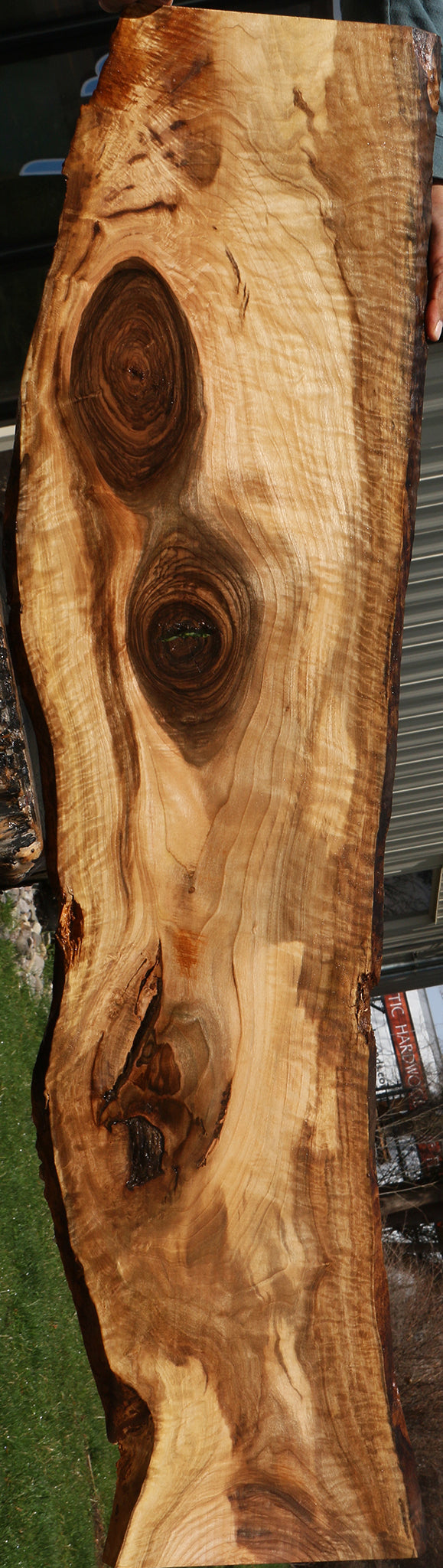 230229_1_18bca7bd-0ed9-477e-9484-b949d1d58638 15083006296435