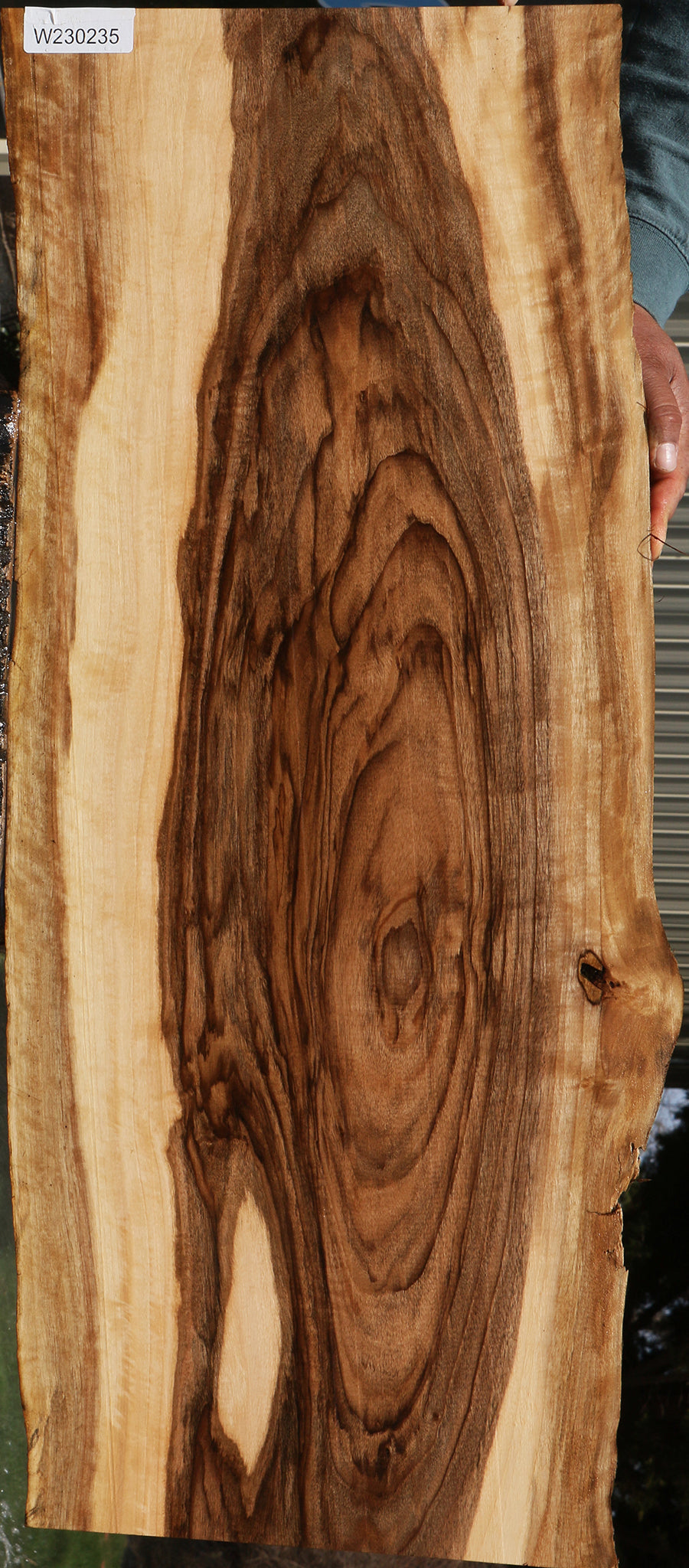 230235_1_ec46f953-da05-4c15-af17-07836d72a176 15083006787955