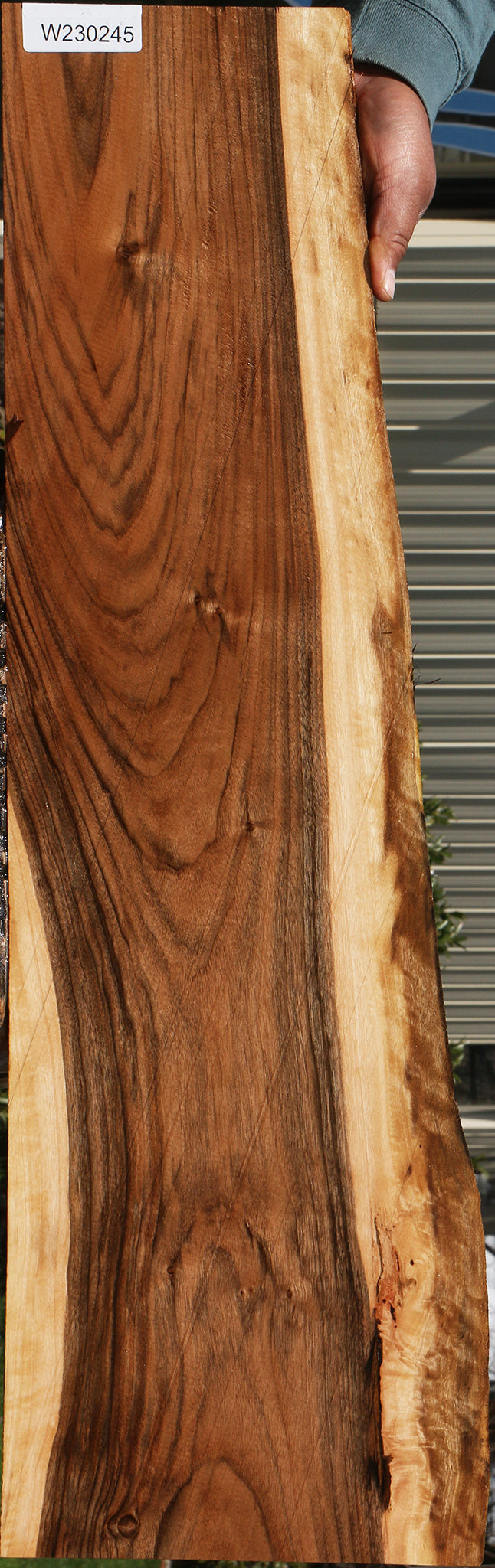 230245_1_8658d15a-e040-42a2-bd18-d9660d022497 15083007443315