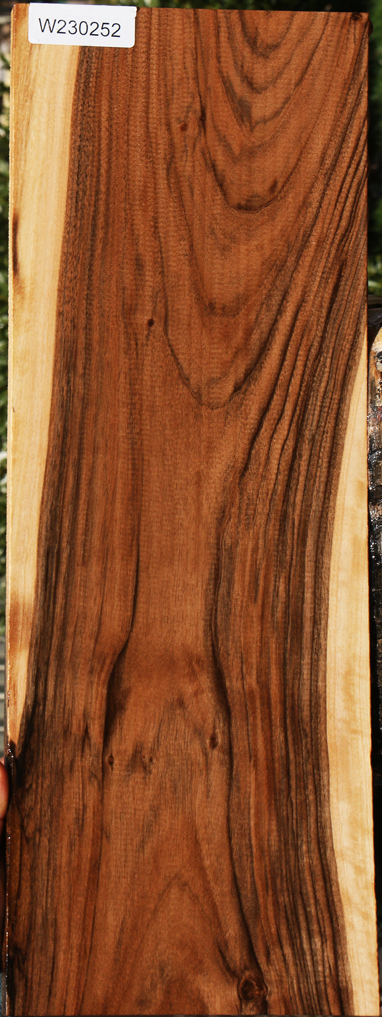 230252_1_0b9edb21-5834-48d8-a72a-13dc82397acf 15083007967603