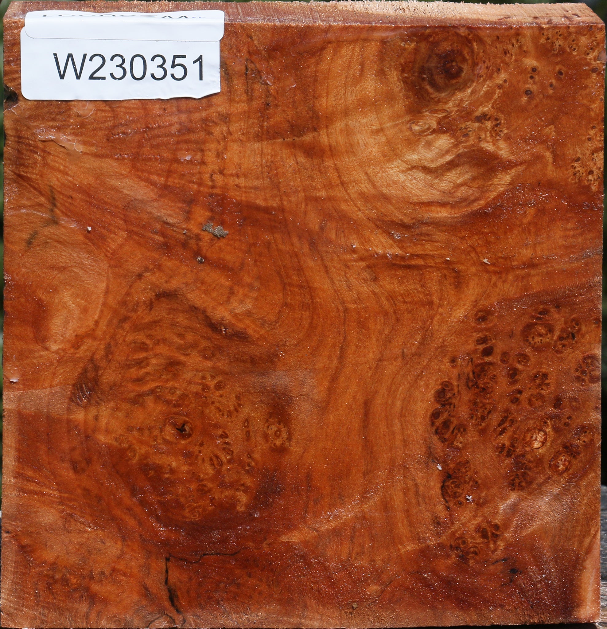 230351_1_c90785d4-2971-4831-87cf-6ff3d1ea704c 15084193448307