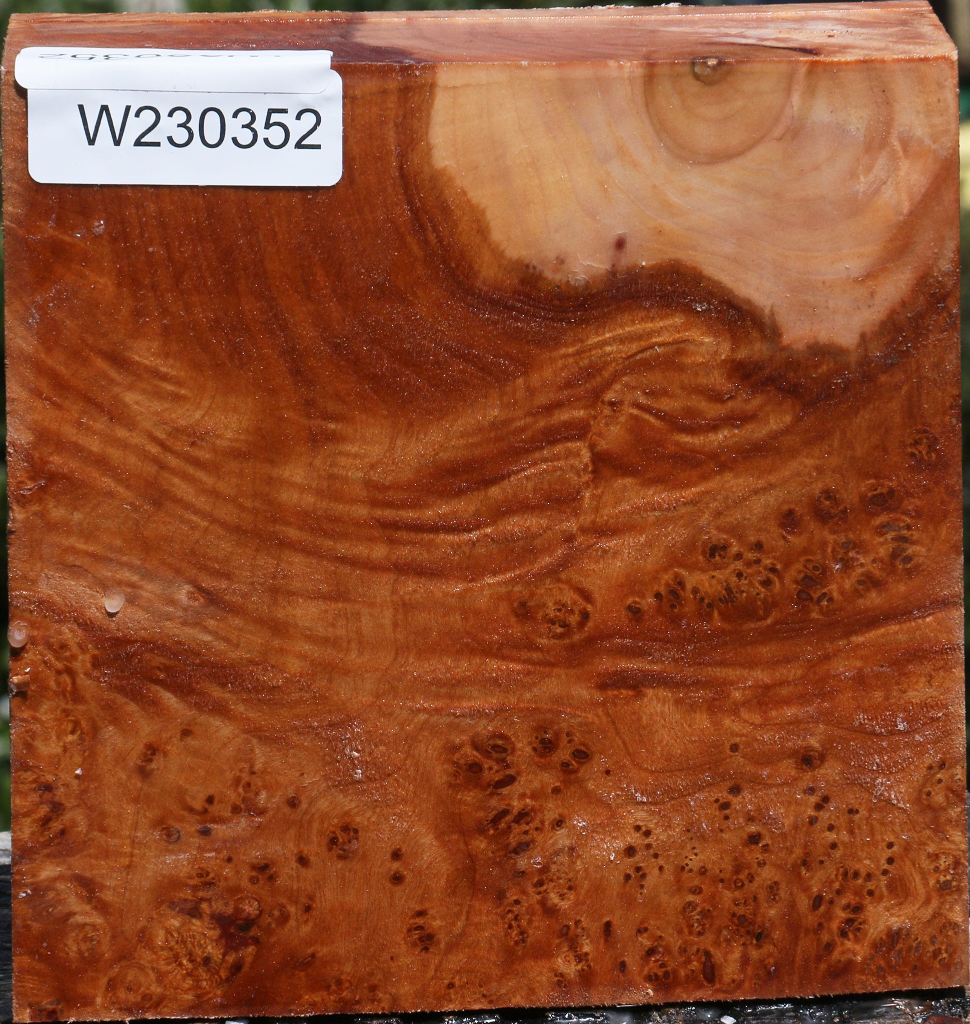 230352_1_35a61a8e-a632-489d-9012-2aef1c2e1c3d 15084193513843