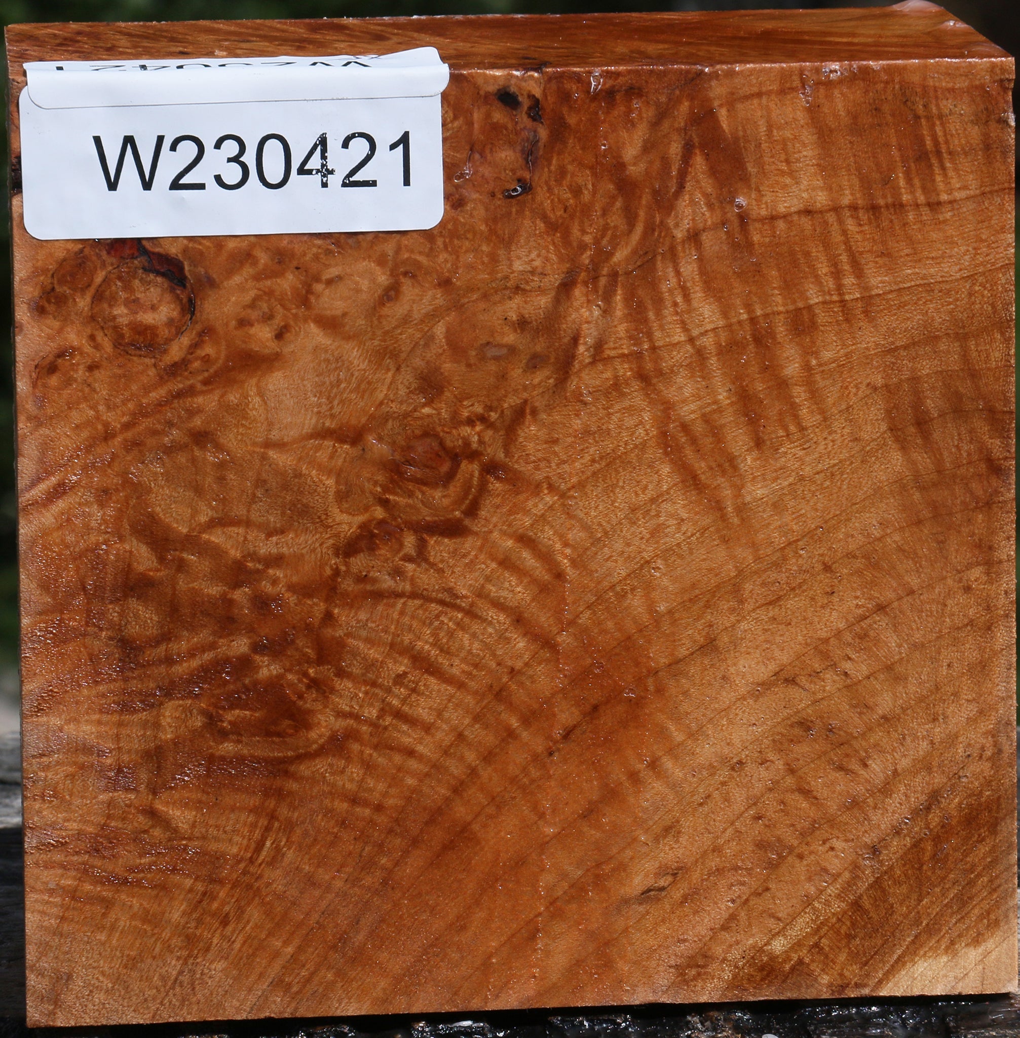 230421_1_707d92c3-d9e2-483c-8341-23a43ad9fd5b 15084197151091