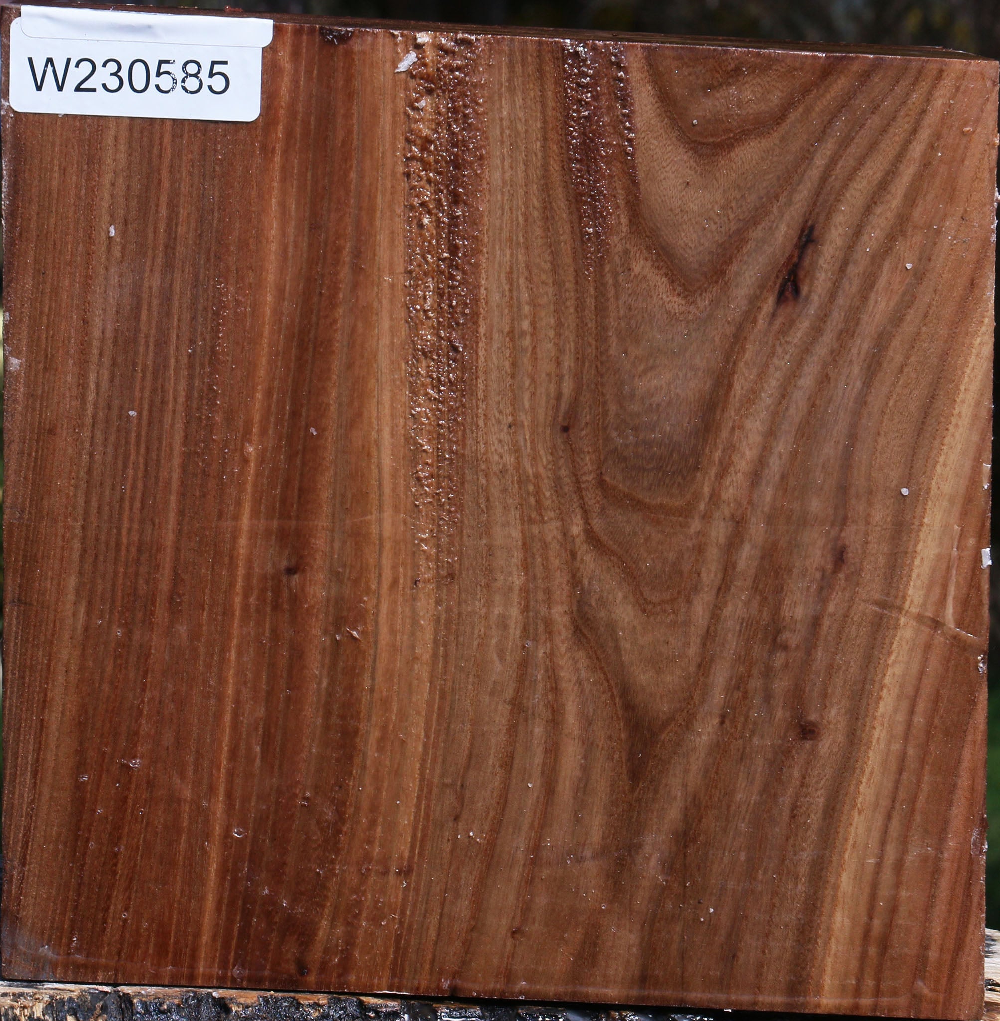 230585_1_edb34beb-b599-46c4-b5d1-ff2e7a3382bb 15087470674291