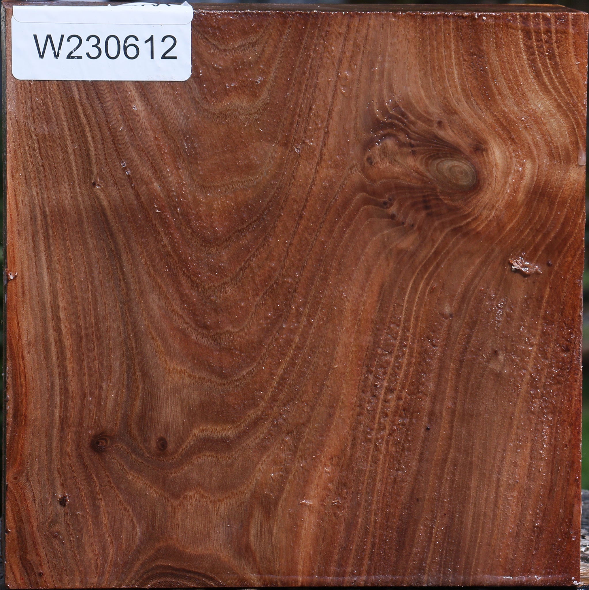 230612_1_b5bc25ac-2064-413d-a423-a160bf0f1ea9 15087471952243