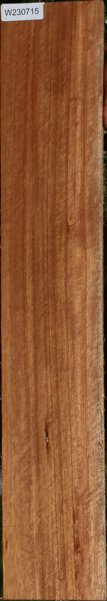 230715_1_9b4a981e-e25e-4040-bfa2-d74c6526dd1e 15090611290483