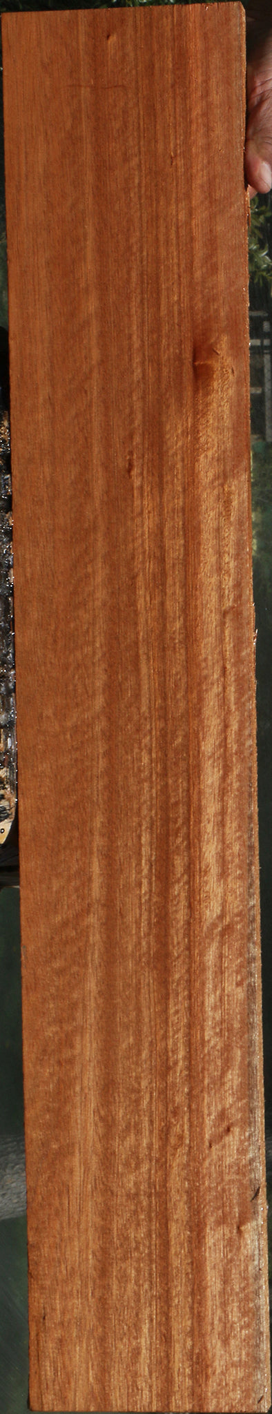 230717_1_d82c3708-b03f-42a8-a5ef-d359180ee618 15090611487091