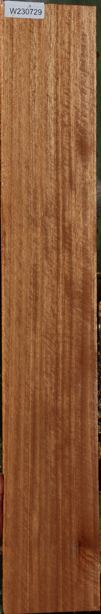 230729_1_9a273590-4154-4f18-b3ec-9c8dcfd6cc35 15090612470131