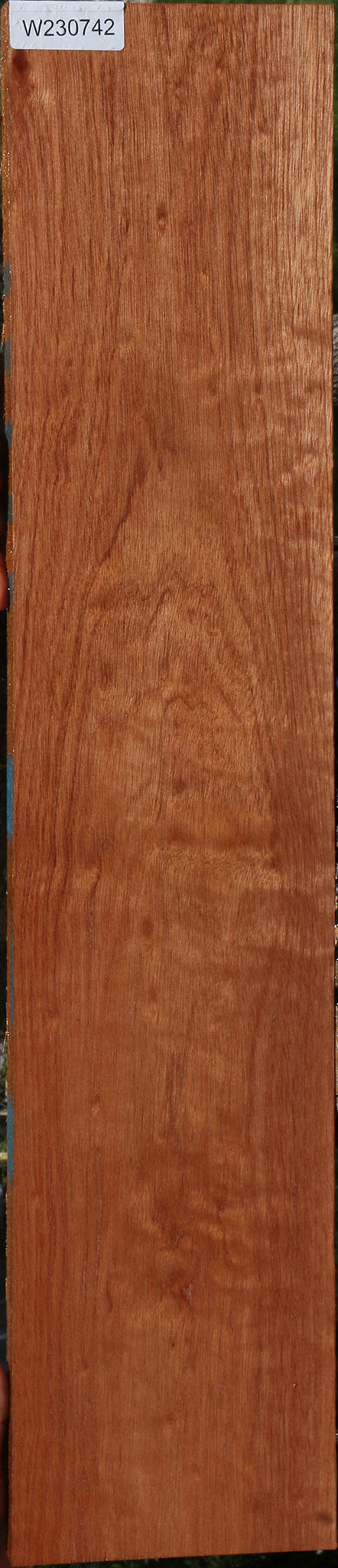 230742_1_354a2bf6-82a0-4287-8912-b1389e07f0fe 15090613682547