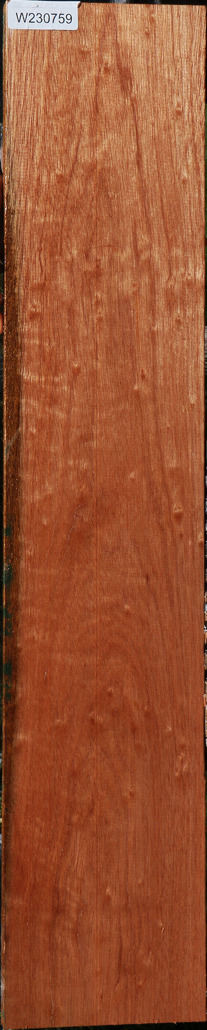 230759_1_6adfa164-8d09-4902-9baa-0121b84e5532 15090615419251