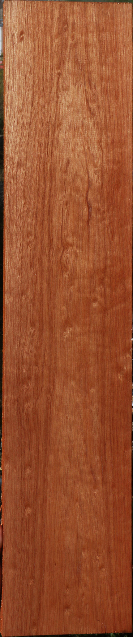 230760_1_08edb3dd-3780-4681-9817-6f3eec5d7f77 15090615484787