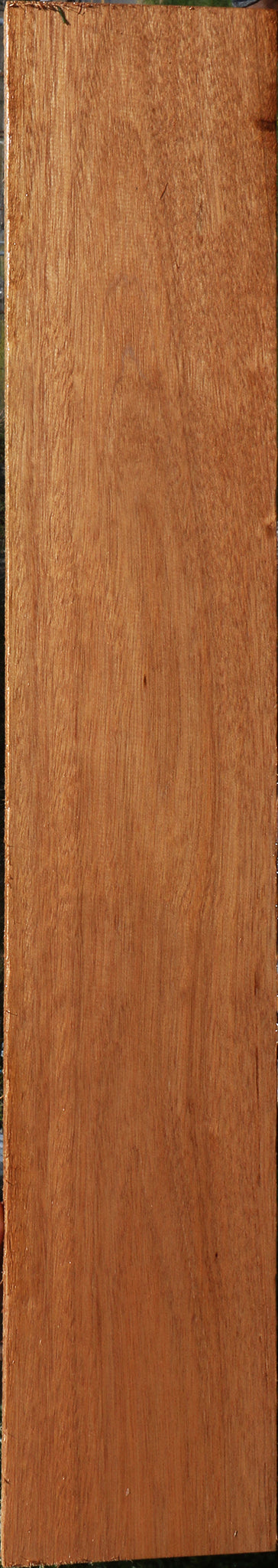 230766_1_b5fbb420-1ecc-4e01-ba55-5903746e18ef 15090616009075