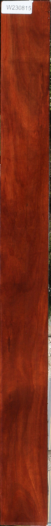 230815_1_9bbf5814-d558-4d9c-9fd2-4644b97c307e 15101423649139