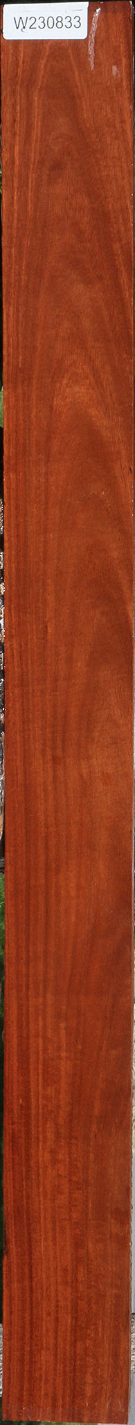 230833_1_9c16a3a2-def7-4524-a259-3ef4374e273f 15101424599411