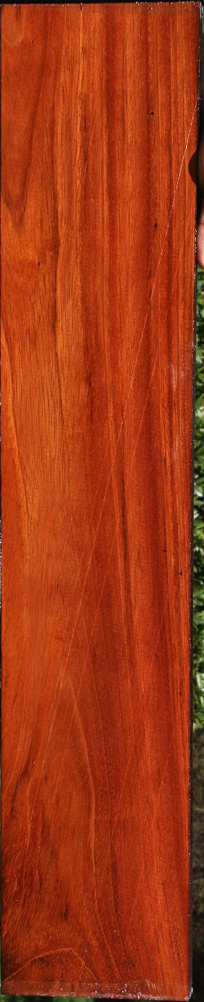 230899_1_0867d766-4f8d-4a5b-9f21-f94820bbefa6 15090639405427