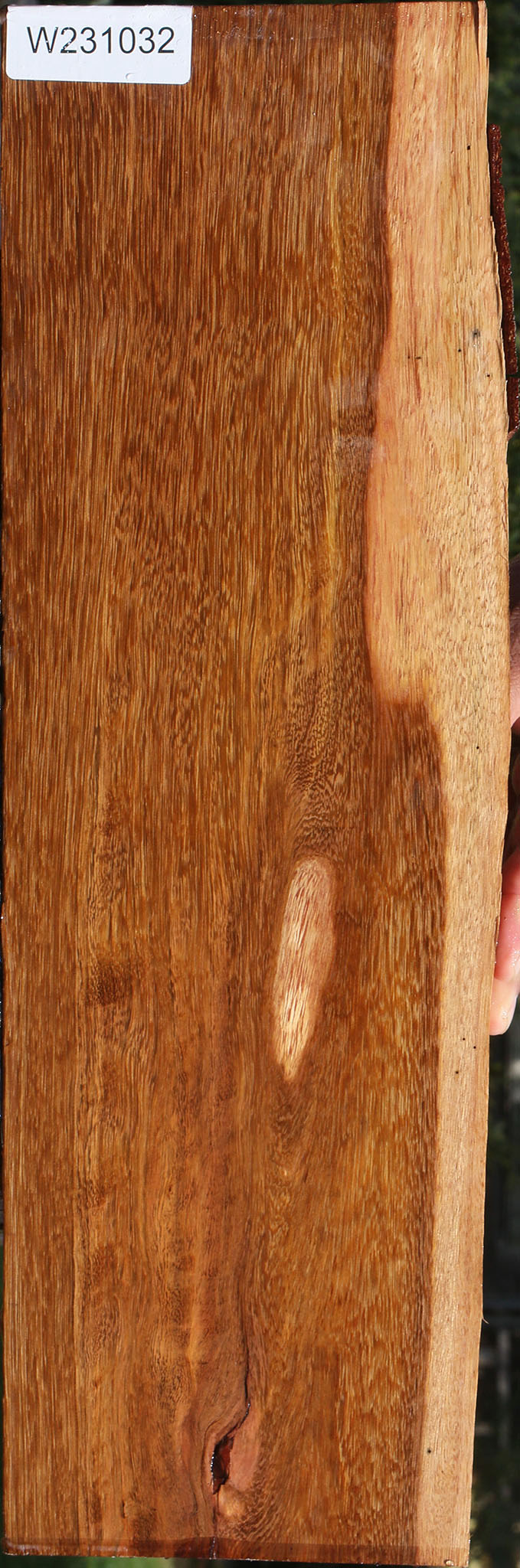 231032_1_e7335d01-d34e-447f-9f59-f7ff7f77508b 15090620596595