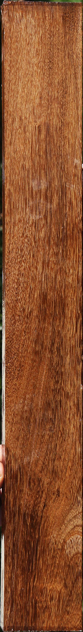 231037_1_913cb953-552d-47b9-abdd-9cdcc68ddc3a 15090621284723