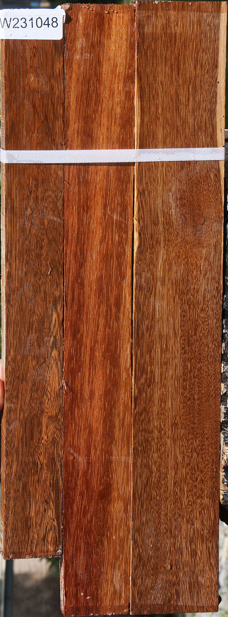 231048_1_1b3b2047-7f32-4867-8d0b-97a511806a5d 15090622726515