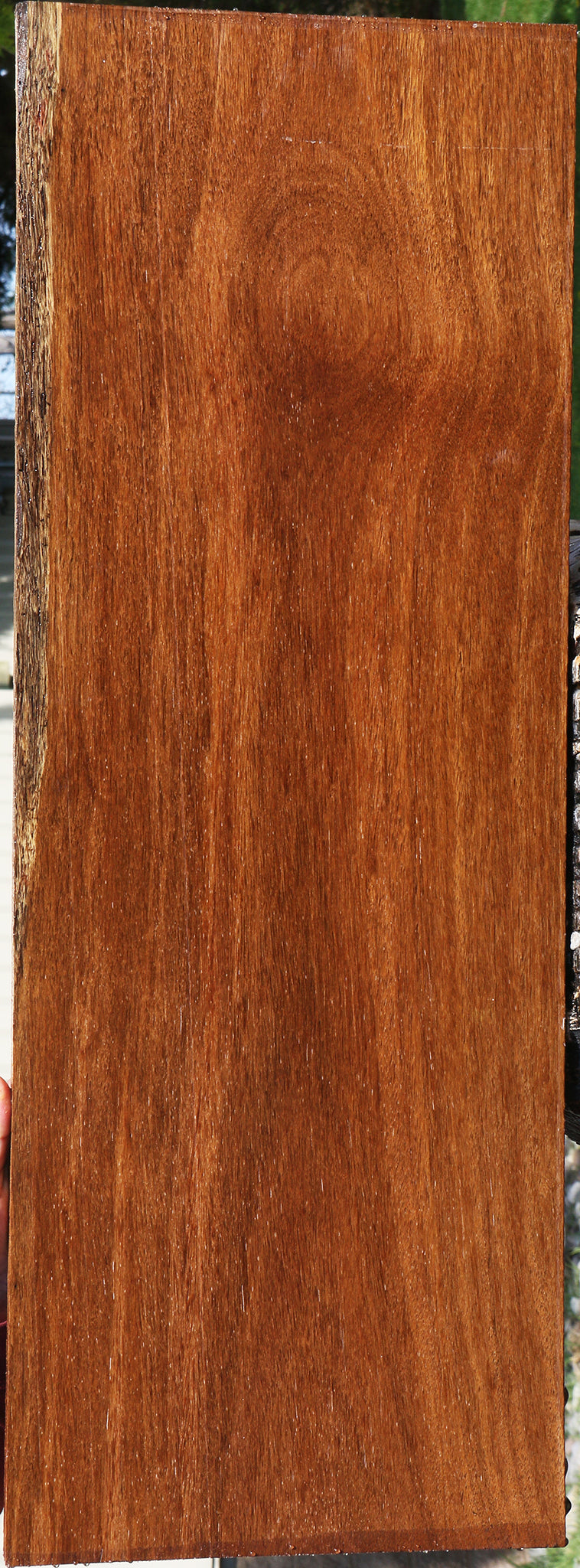 231055_1_a13f0a21-9e55-41e0-a835-dce494d16664 15090623644019